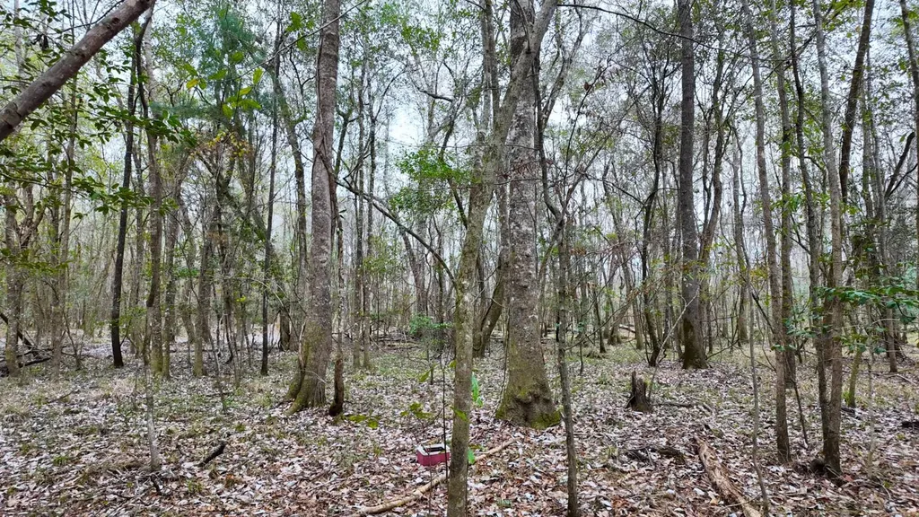 0 Mulberry Road Brantley AL 36009