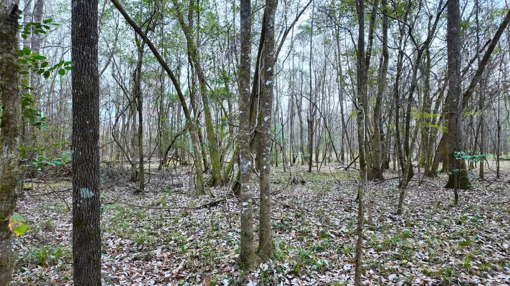 0 Mulberry Road Brantley AL 36009