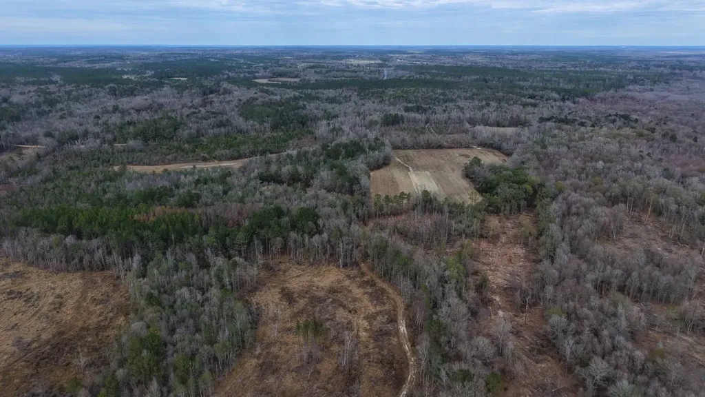 0 Mulberry Road Brantley AL 36009