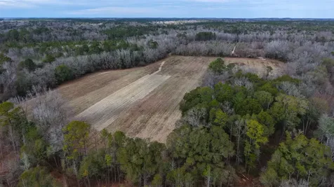 0 Mulberry Road Brantley AL 36009