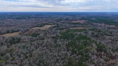 0 Mulberry Road Brantley AL 36009