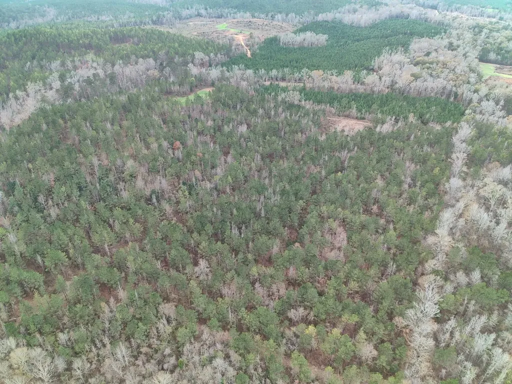 11039 Tallahatta Springs Road Thomasville AL 36784