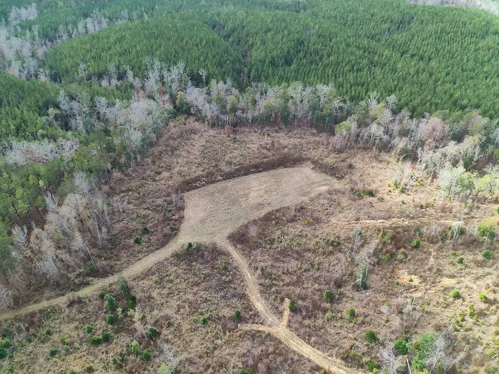 11039 Tallahatta Springs Road Thomasville AL 36784