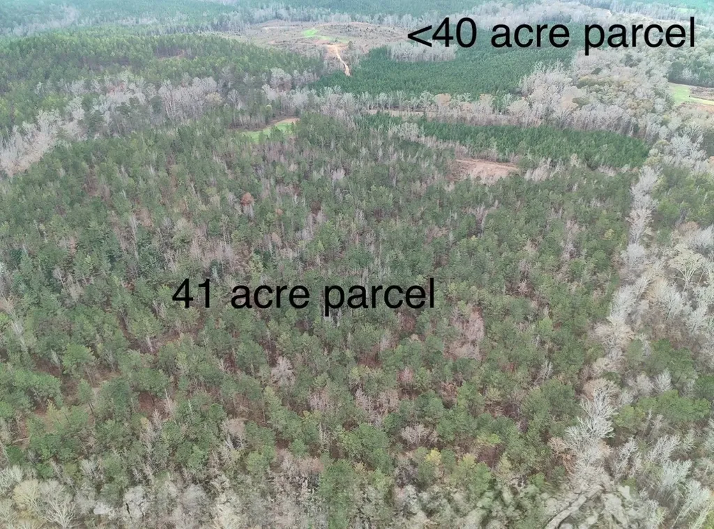 11039 Tallahatta Springs Road Thomasville AL 36784