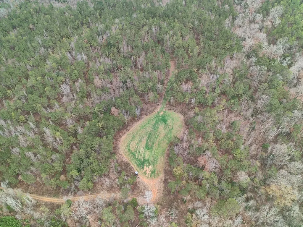 11039 Tallahatta Springs Road Thomasville AL 36784