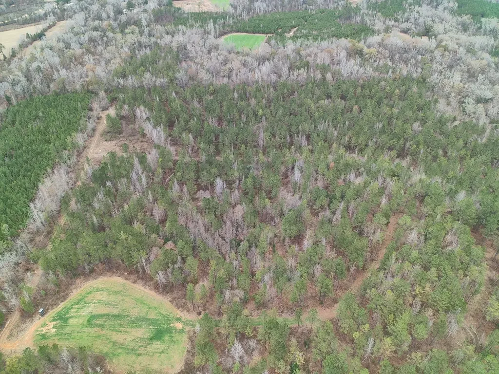 11039 Tallahatta Springs Road Thomasville AL 36784