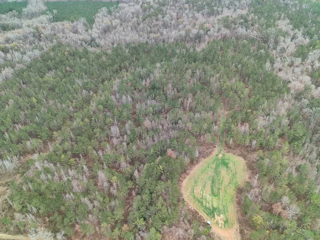 11039 Tallahatta Springs Road Thomasville AL 36784