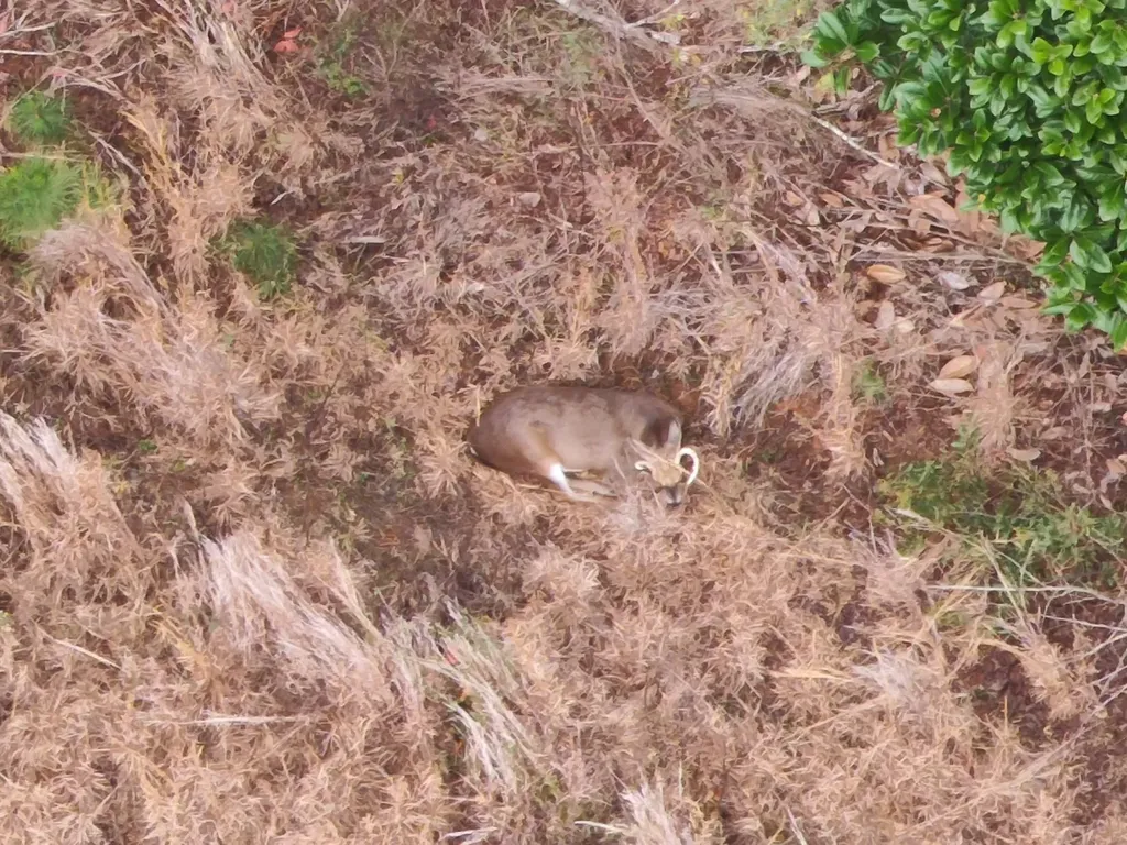 11039 Tallahatta Springs Road Thomasville AL 36784