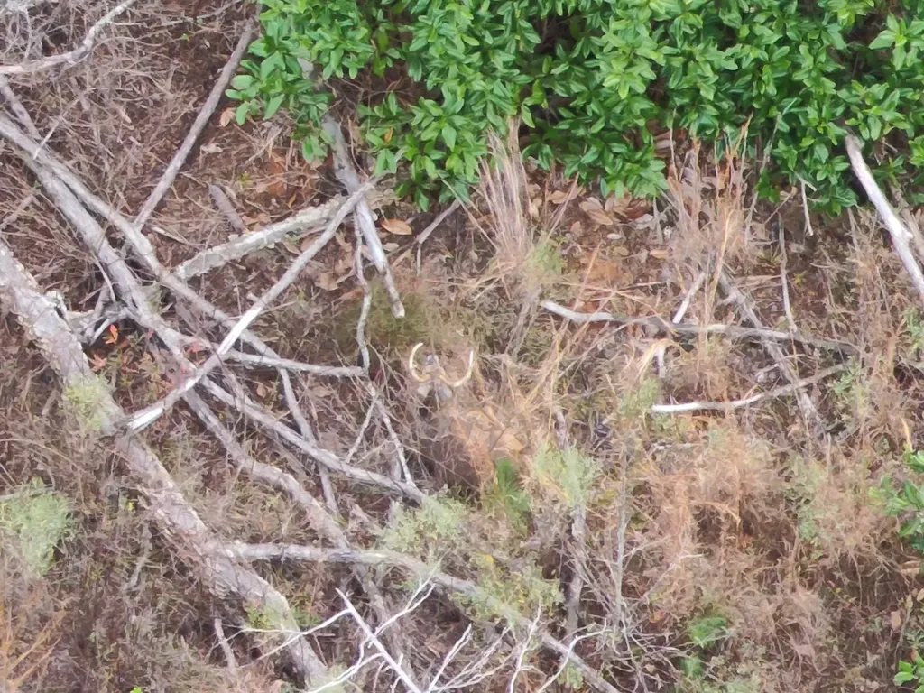 11039 Tallahatta Springs Road Thomasville AL 36784