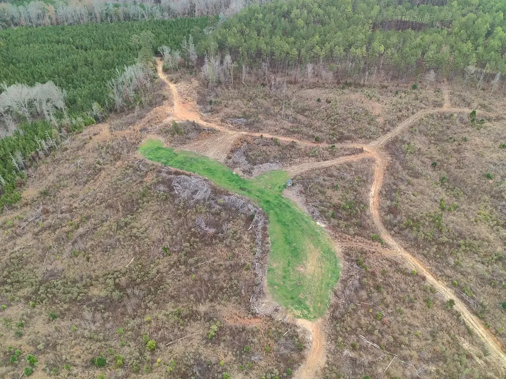 11039 Tallahatta Springs Road Thomasville AL 36784