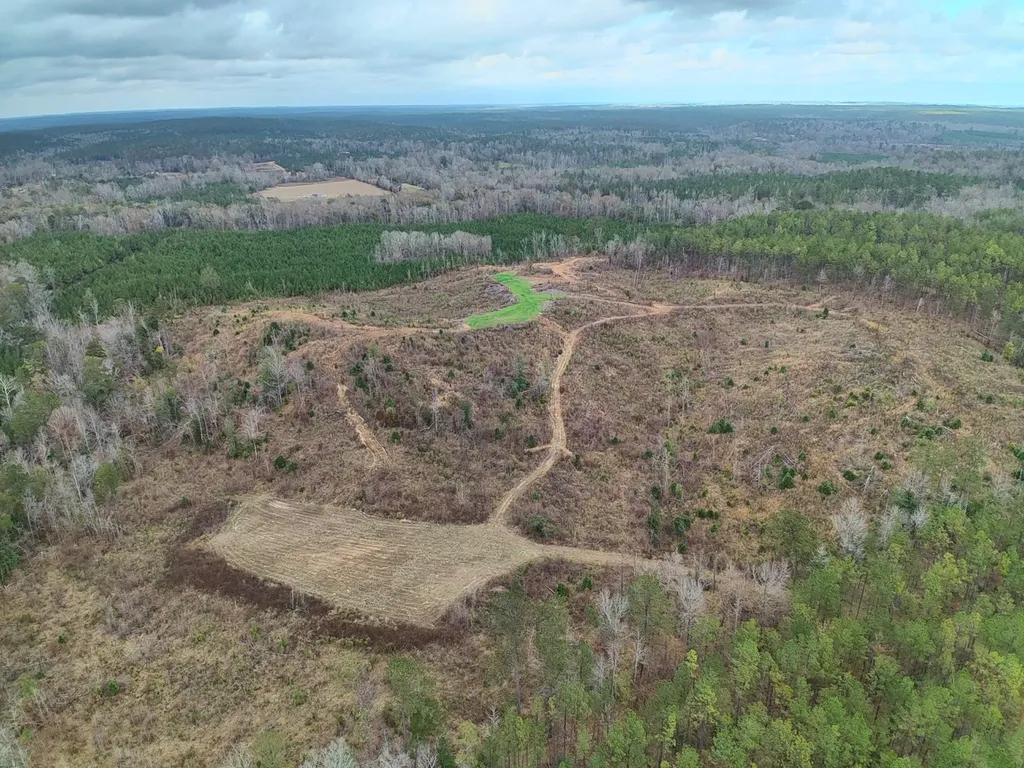 11039 Tallahatta Springs Road Thomasville AL 36784