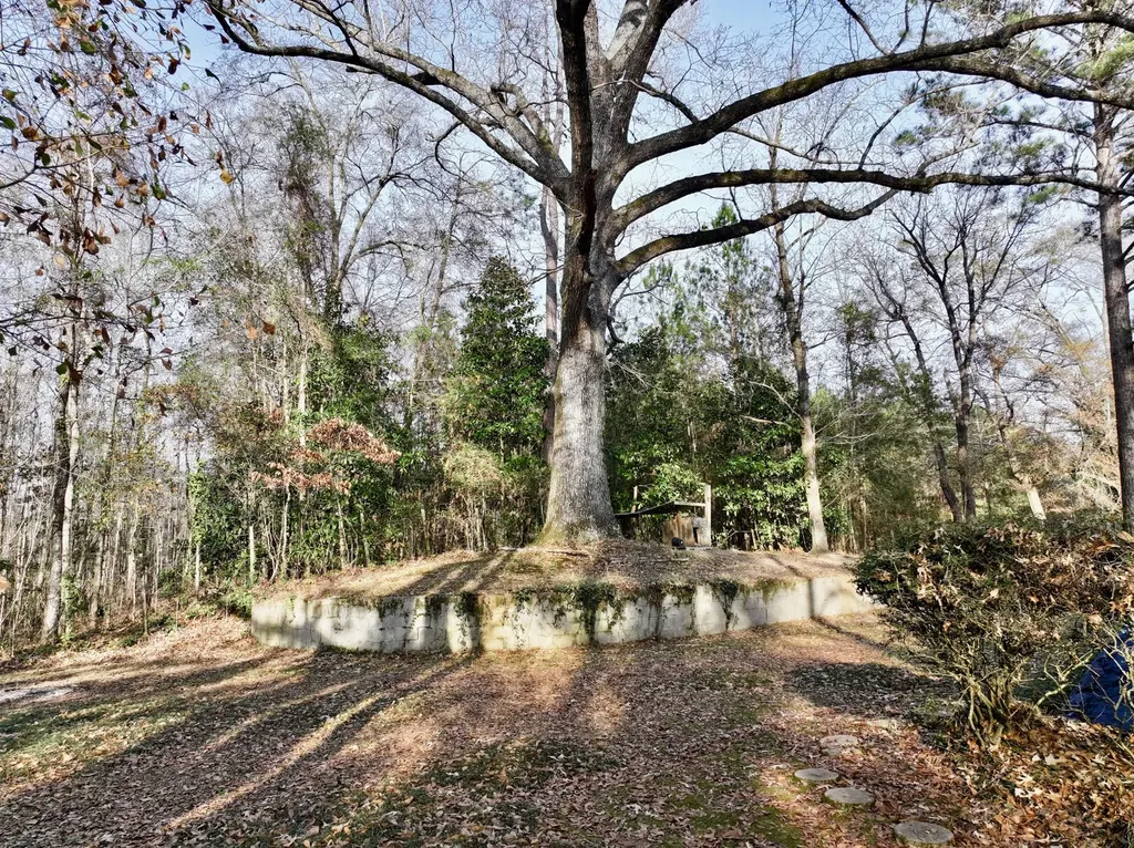 1520 N Andrews Drive Thomasville AL 36784