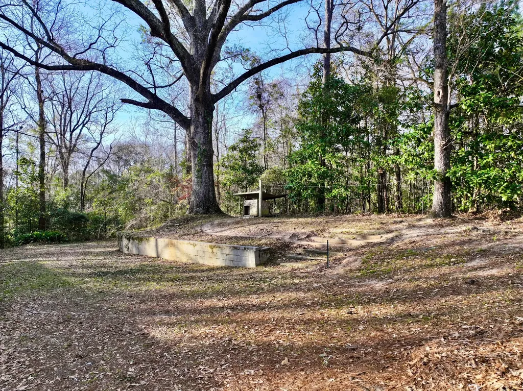 1520 N Andrews Drive Thomasville AL 36784