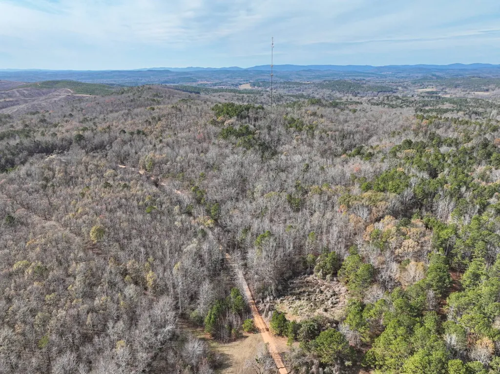 0 Smith Road Ashland AL 36251