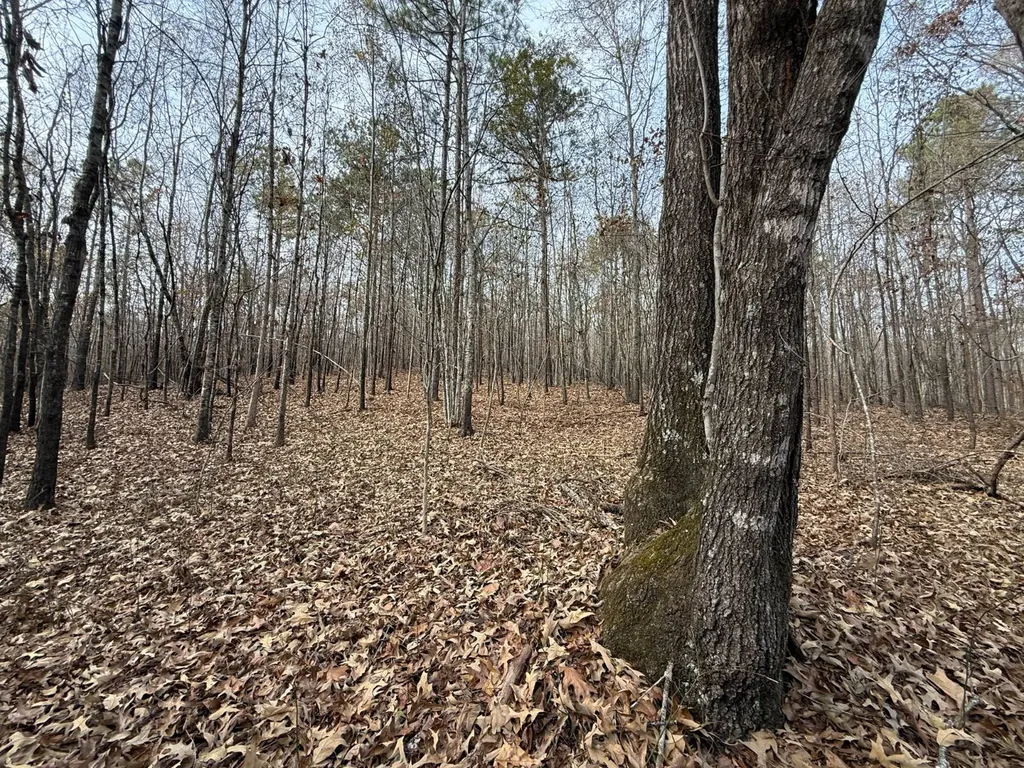 0 Smith Road Ashland AL 36251