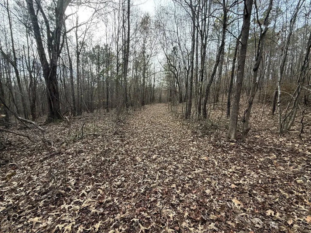 0 Smith Road Ashland AL 36251