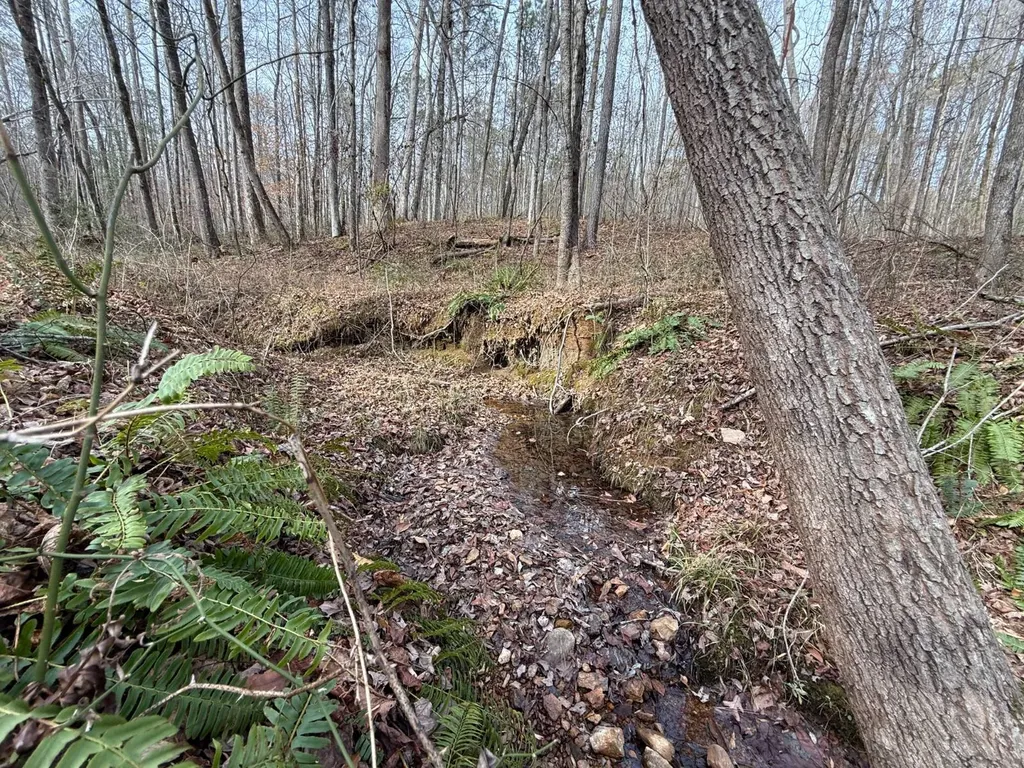 0 Smith Road Ashland AL 36251