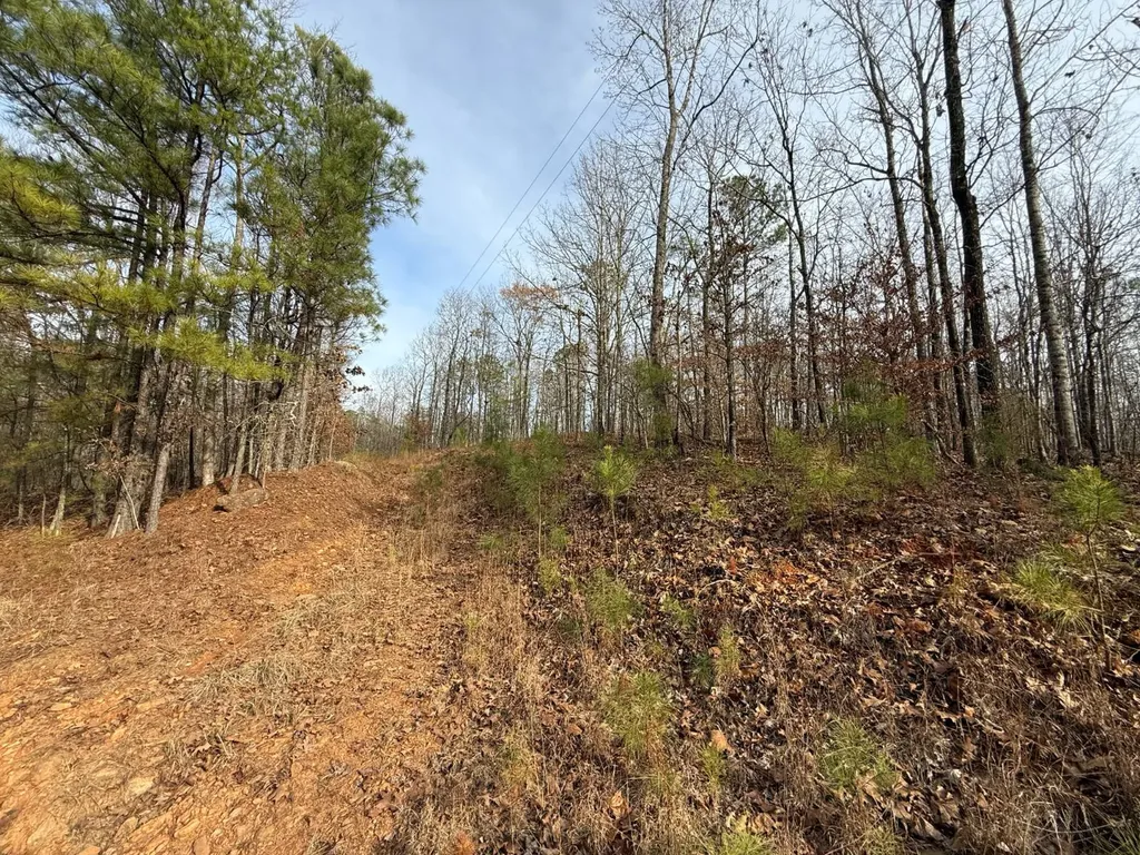 0 Smith Road Ashland AL 36251