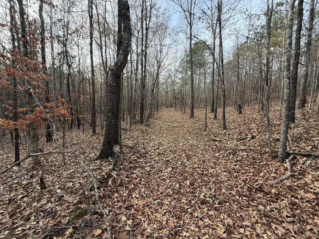 0 Smith Road Ashland AL 36251