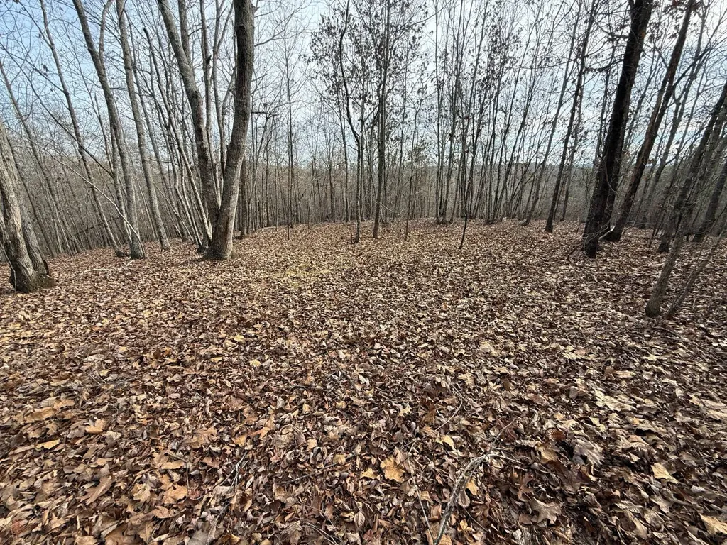 0 Smith Road Ashland AL 36251