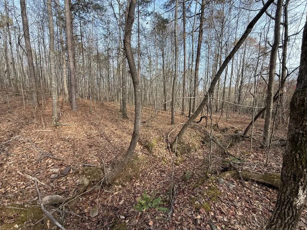 0 Smith Road Ashland AL 36251