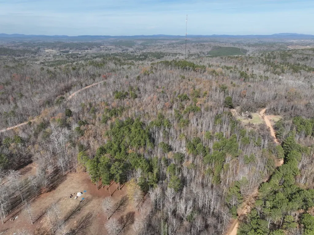 0 Smith Road Ashland AL 36251