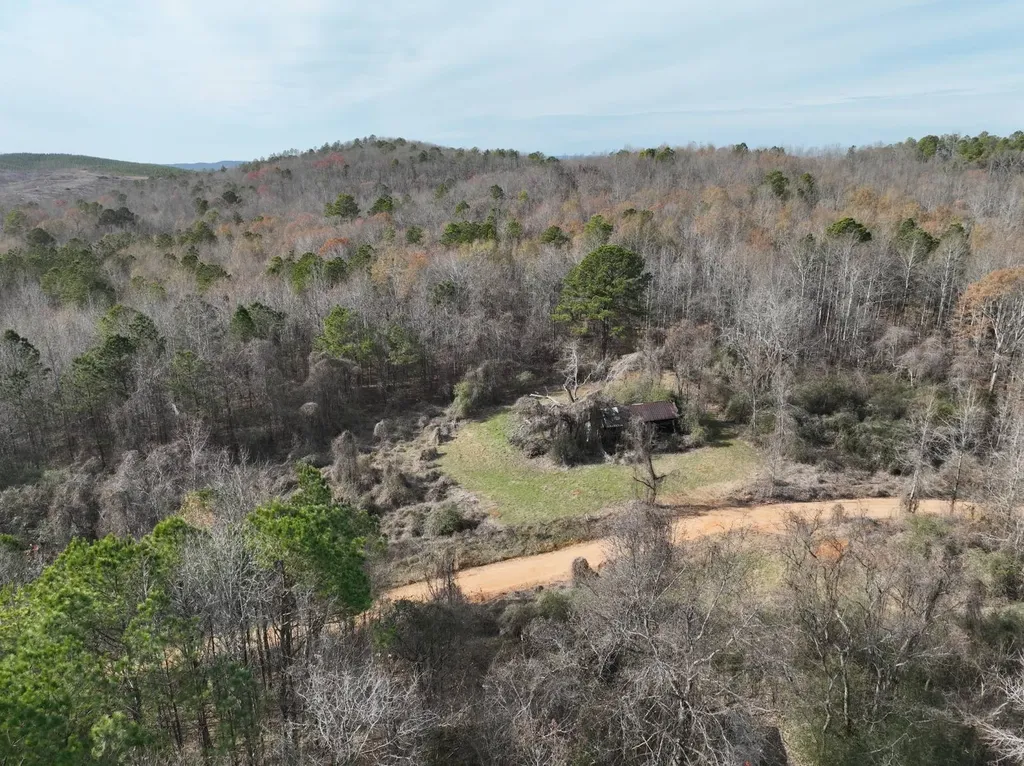 0 Smith Road Ashland AL 36251