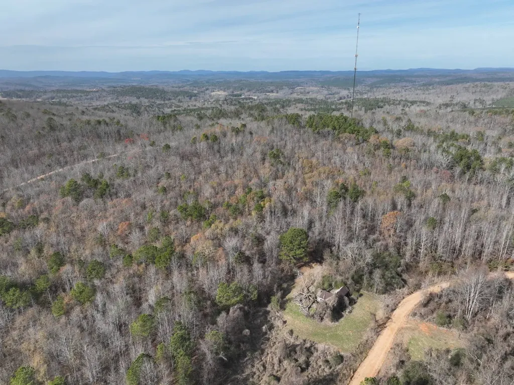 0 Smith Road Ashland AL 36251