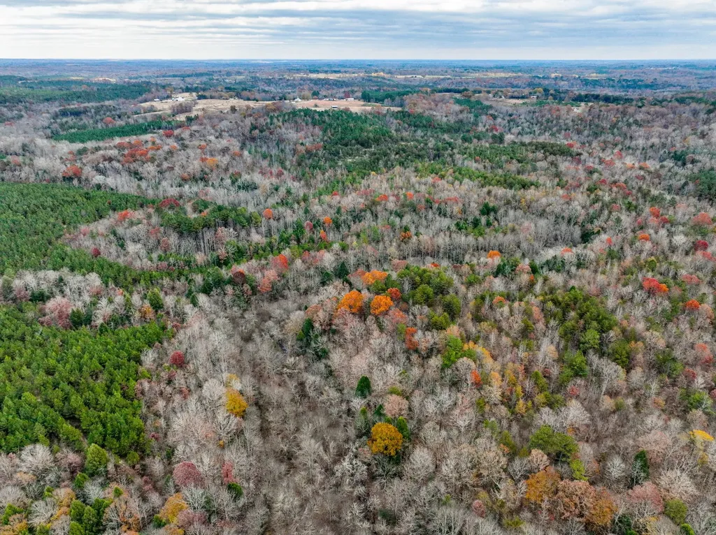 0 County Road 3217 Haleyville AL 35565