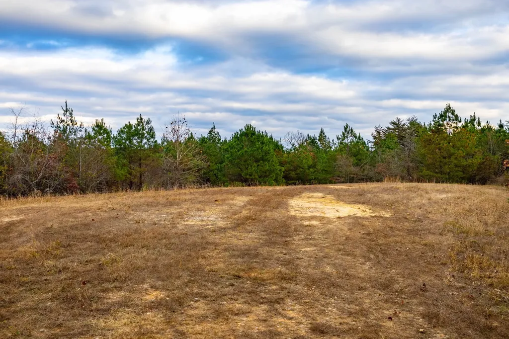 0 County Road 3217 Haleyville AL 35565