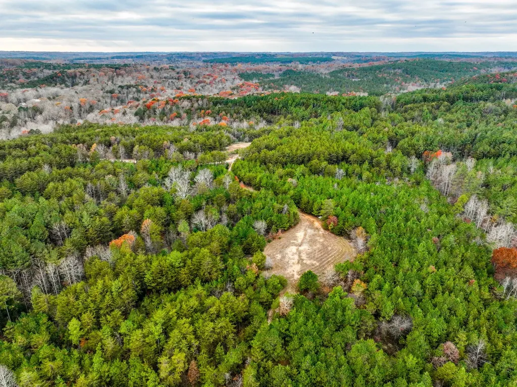 0 County Road 3217 Haleyville AL 35565