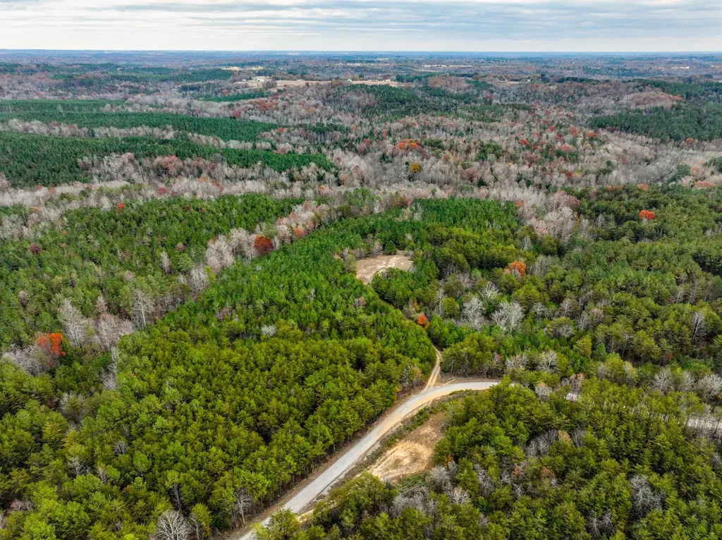 0 County Road 3217 Haleyville AL 35565