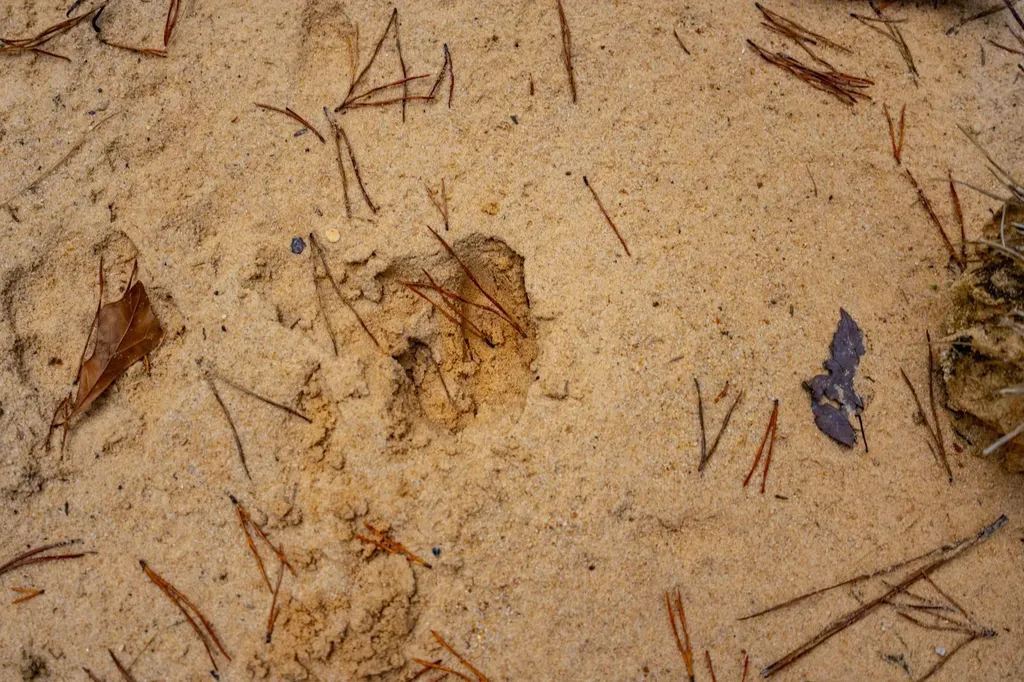 0 County Road 3217 Haleyville AL 35565