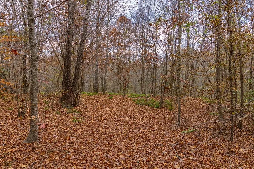 0 County Road 3217 Haleyville AL 35565