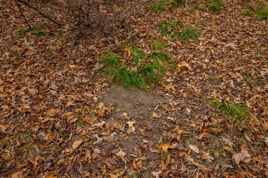 0 County Road 3217 Haleyville AL 35565