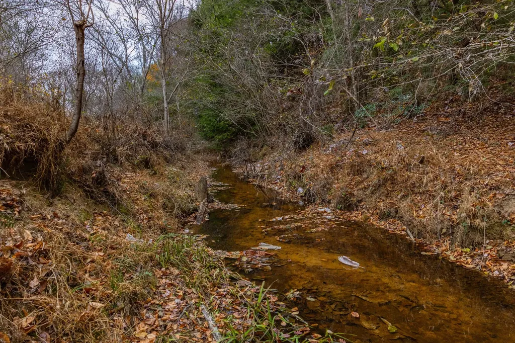 0 County Road 3217 Haleyville AL 35565