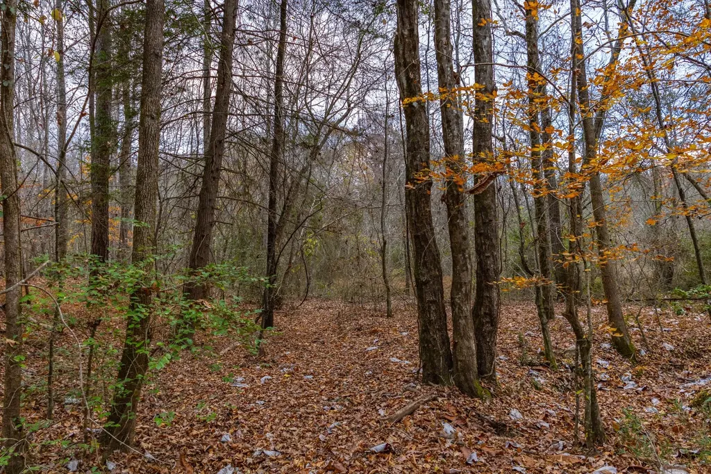 0 County Road 3217 Haleyville AL 35565