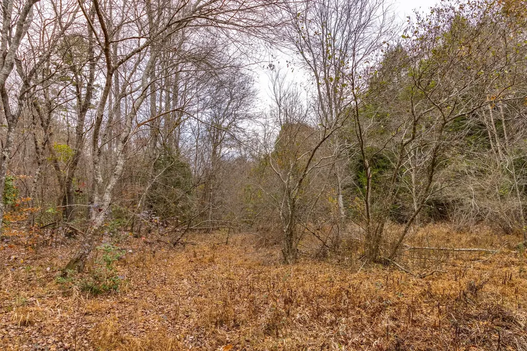 0 County Road 3217 Haleyville AL 35565