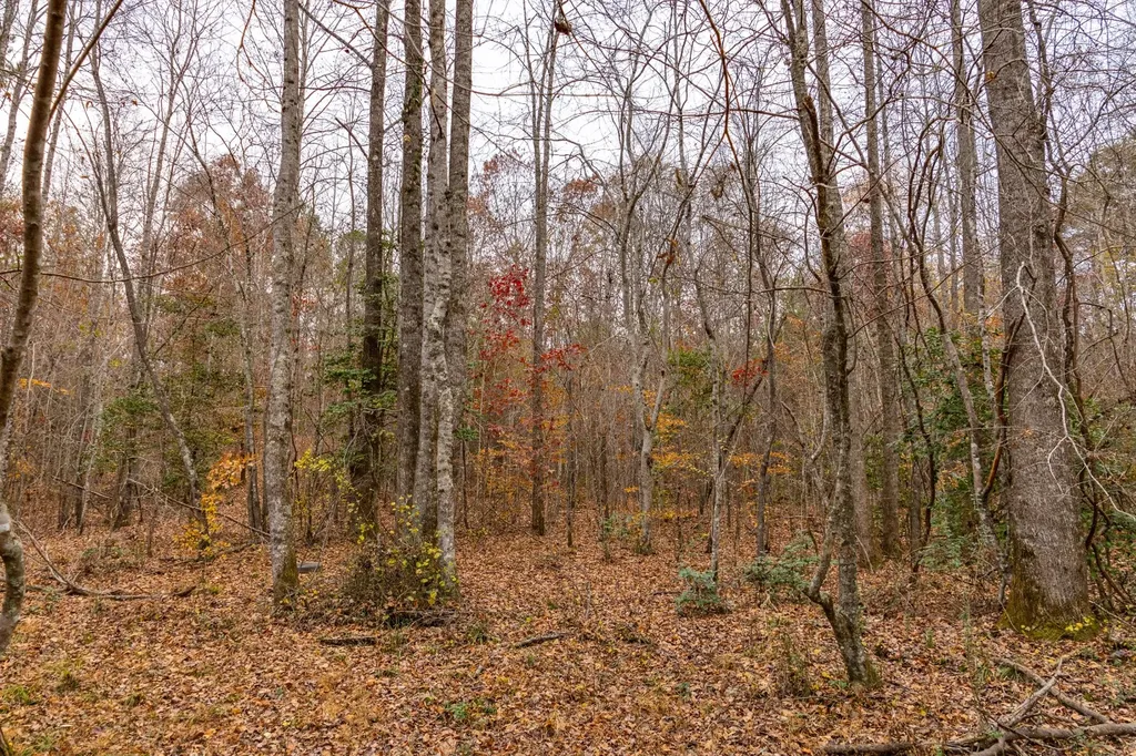 0 County Road 3217 Haleyville AL 35565