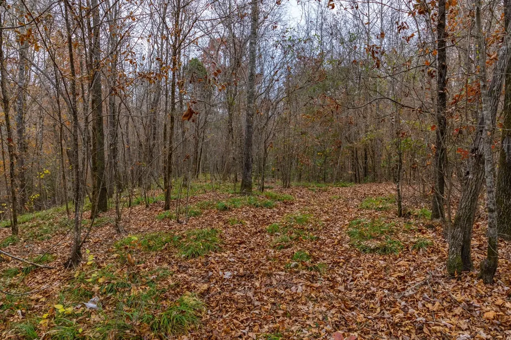 0 County Road 3217 Haleyville AL 35565