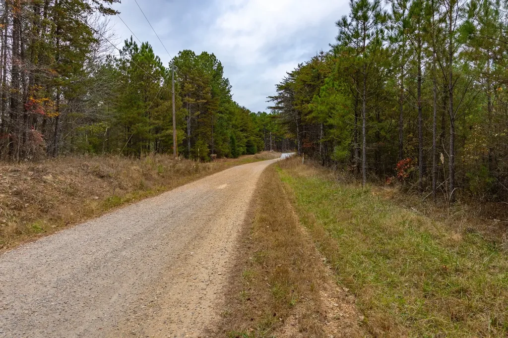 0 County Road 3217 Haleyville AL 35565