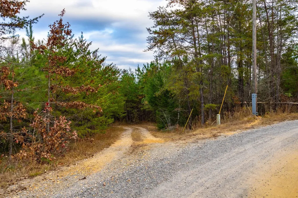 0 County Road 3217 Haleyville AL 35565