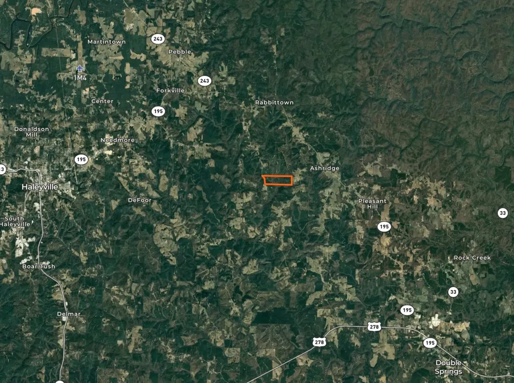 0 County Road 3217 Haleyville AL 35565