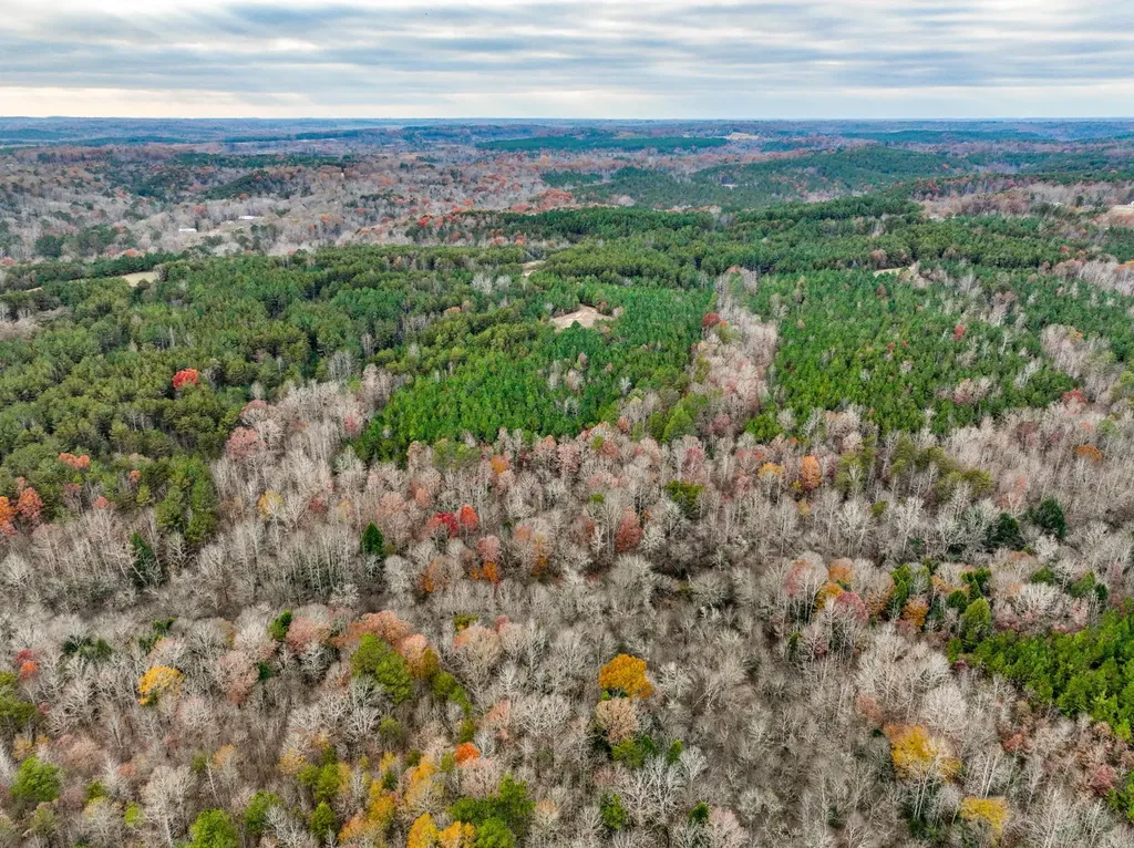 0 County Road 3217 Haleyville AL 35565