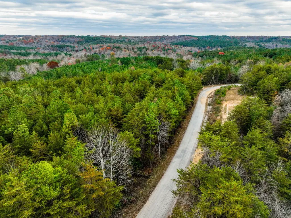 0 County Road 3217 Haleyville AL 35565