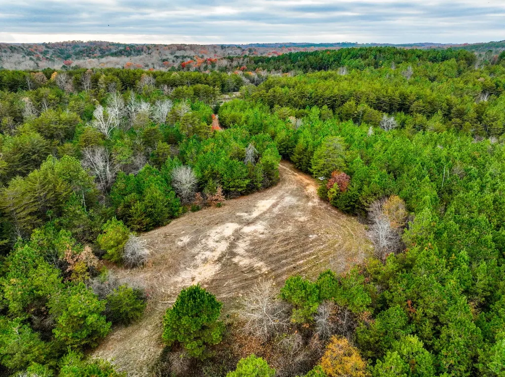 0 County Road 3217 Haleyville AL 35565