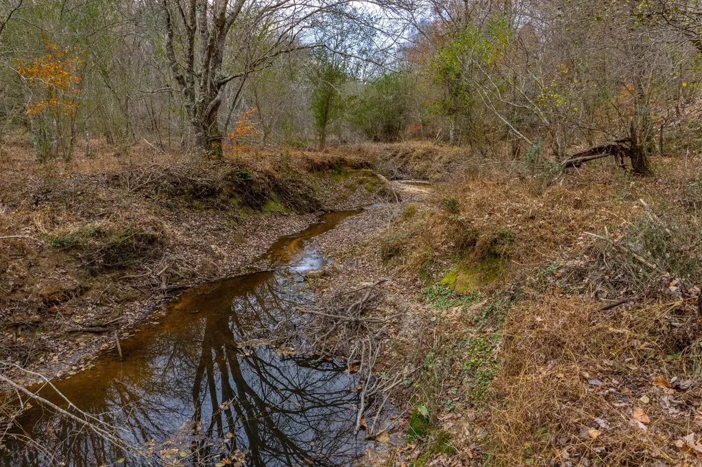 0 County Road 3217 Haleyville AL 35565