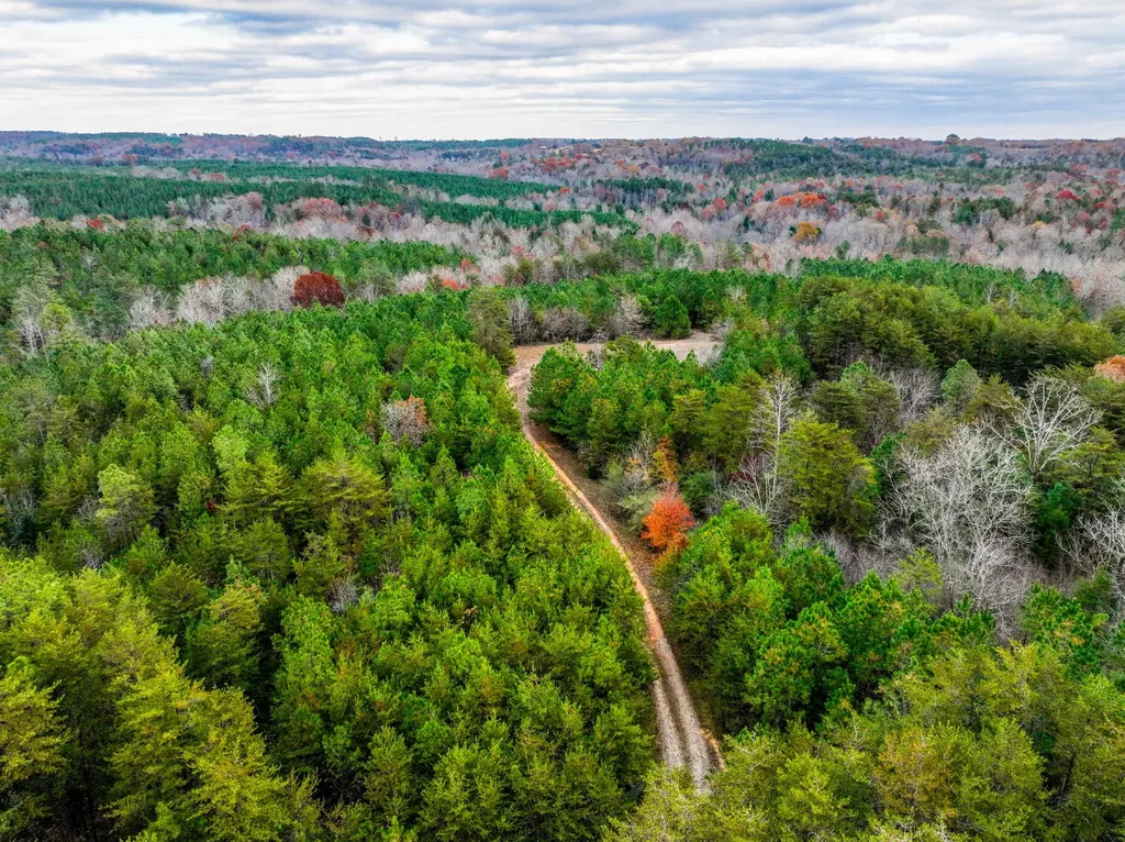 0 County Road 3217 Haleyville AL 35565