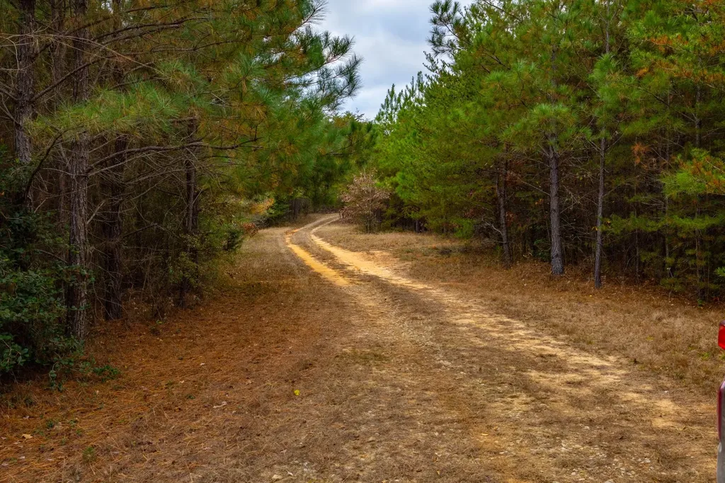 0 County Road 3217 Haleyville AL 35565