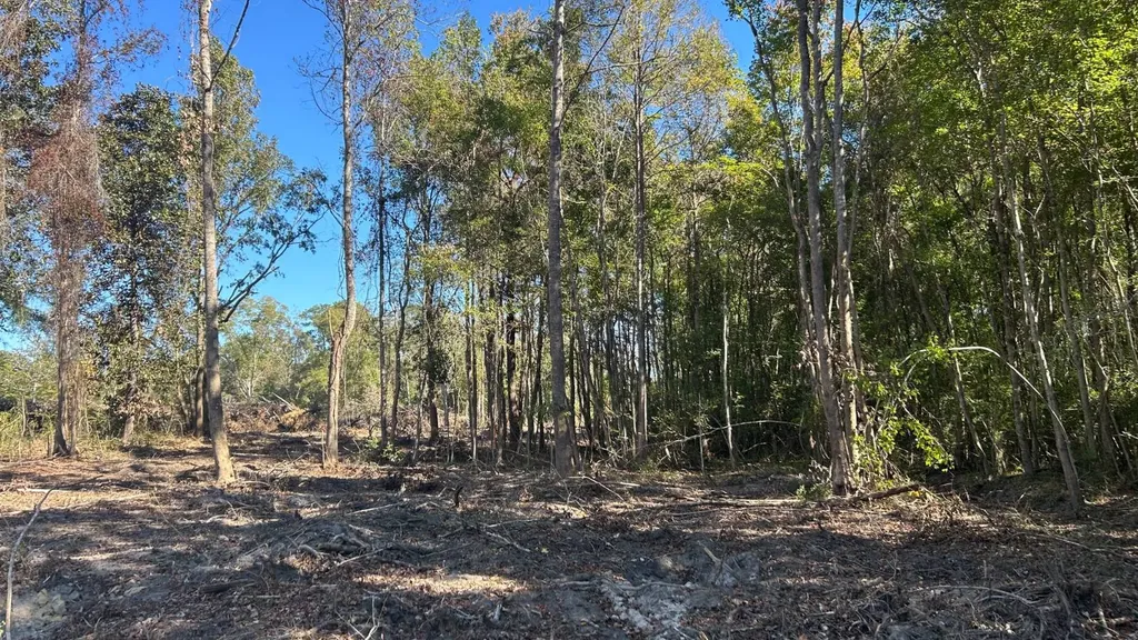 23834 State Line Road Florala AL 36442